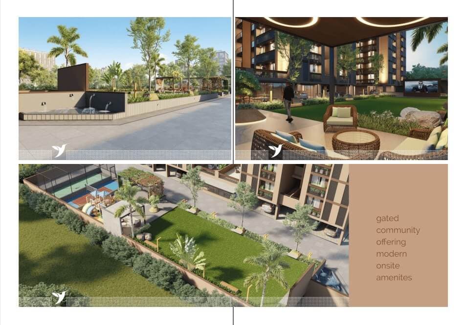 Live the Elevated Life